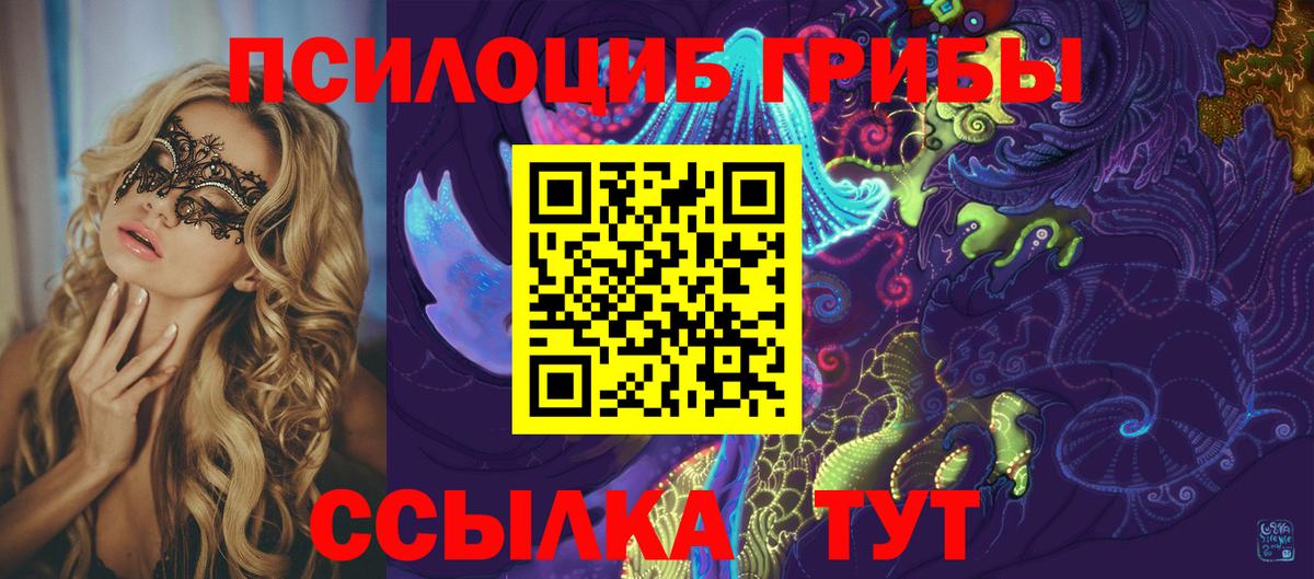 Псилоцибиновые грибы Cubensis Тавда