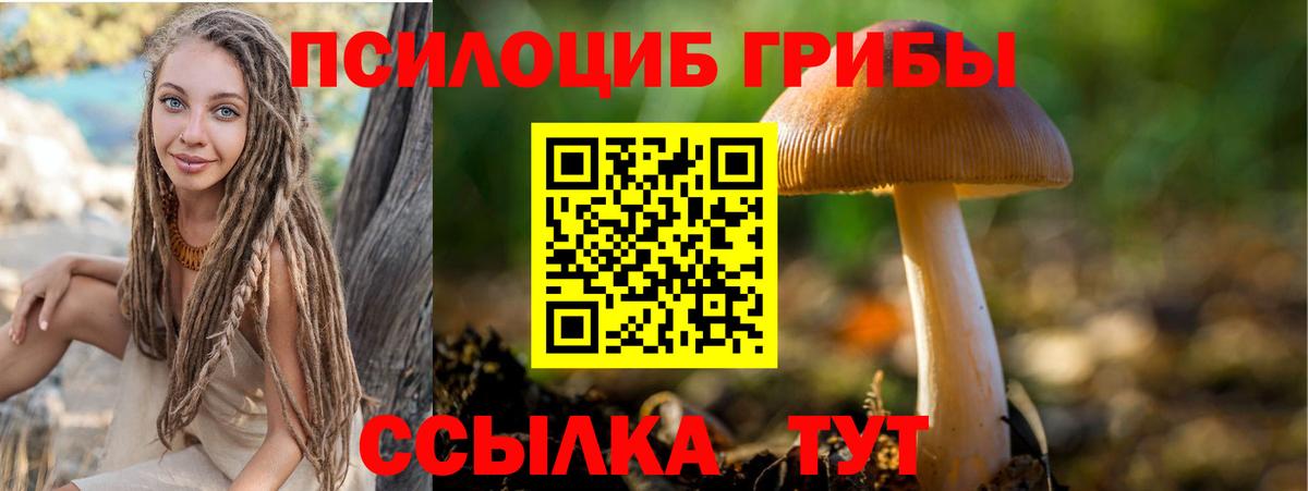 Тавда  Галлюциногенные грибы мицелий  Вход с VPN 