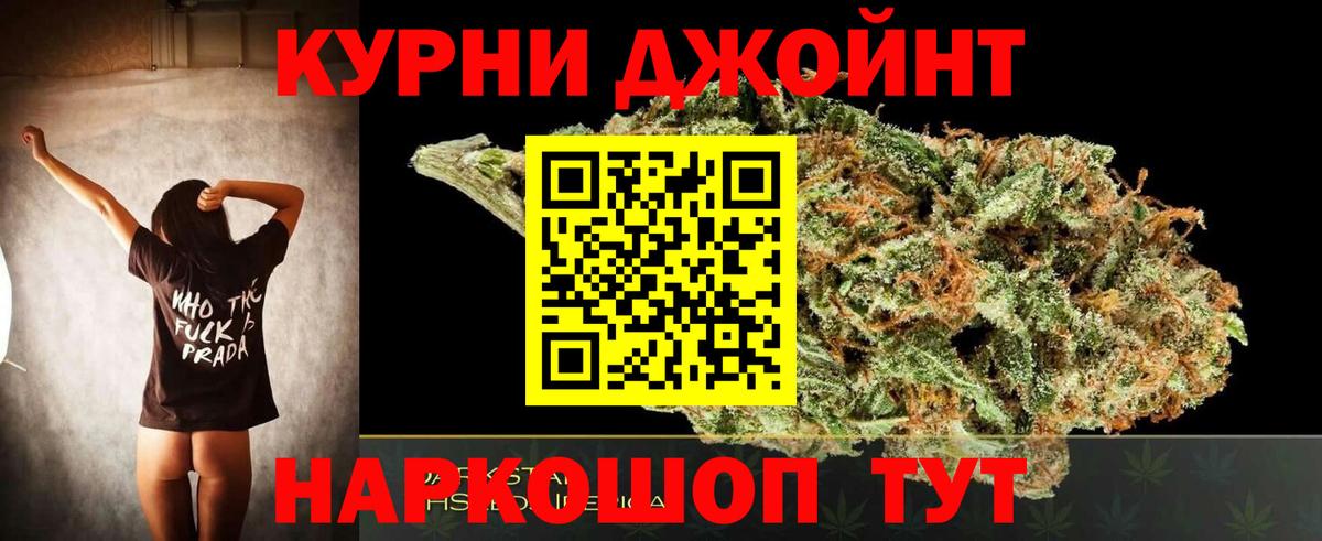 Бошки Шишки план  Конопля сатива  Марихуана тримм  Тавда  Вход с VPN  Конопля сатива 